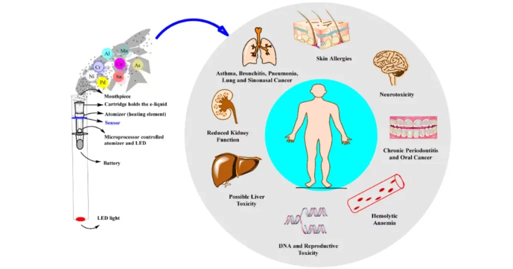 Infografika przedstawiająca metale ciężkie uwalniane z e-papierosa (nikiel, chrom, mangan, glin, miedź, arsen, cyna, pallad) oraz ich wpływ na zdrowie: płuca, mózg, wątrobę, nerki, jamę ustną, skórę, krew i DNA.