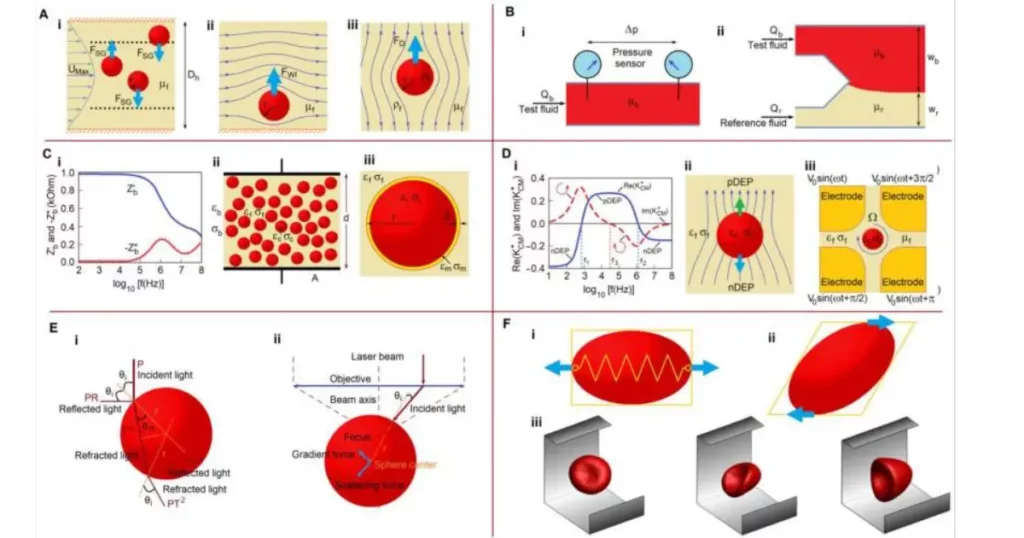 Schemat mikroprzepływowych metod analizy krwi i krwinek czerwonych na chipie