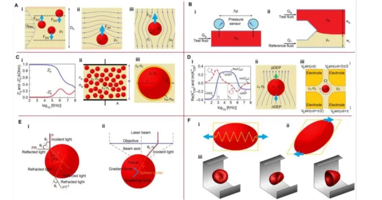 Schemat mikroprzepływowych metod analizy krwi i krwinek czerwonych na chipie