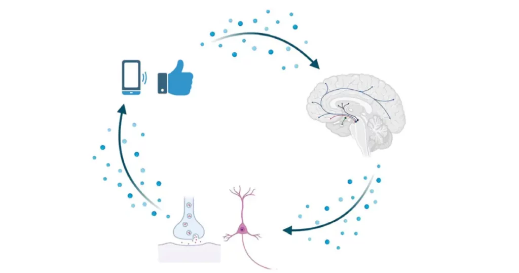 Schemat wpływu social mediów na mózg i układ nagrody